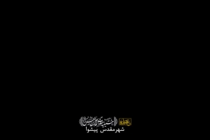 محرم 1401 - شب هفتم - زمینه - حسین مولا