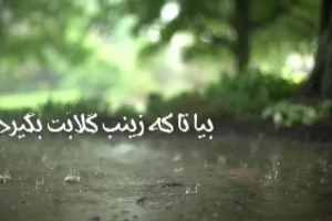 آغاز امامت حضرت موعود