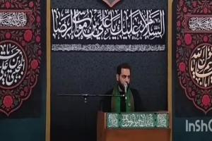 زیارت امین الله سیدمهدی کاظمی حرم مطهر رضوی