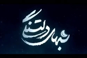 نماهنگ حوالی حرم