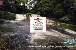 کلیپ صلوات ، می دانم که میدانی ، ویژه ولادت امام حسن مجتبی علیه السلام - بهار۱۳۹۸
