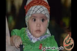 مراسم شیرخوارگان حسینی اهرم در قاب تصویر