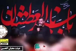 باب المراد، باب الحسین ، ابوفاضل ع ؛  کربلایی_سیدمصطفی_موسوی